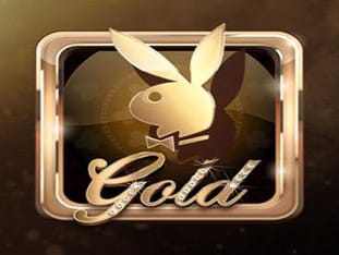 Playboy Gold game icon